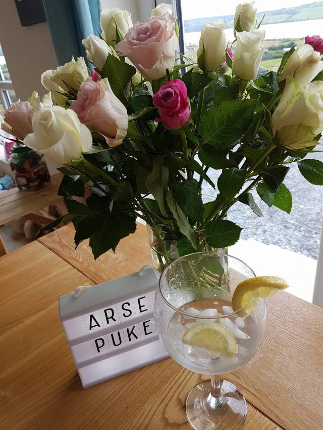 19859003_10158836352360167_622421001_o