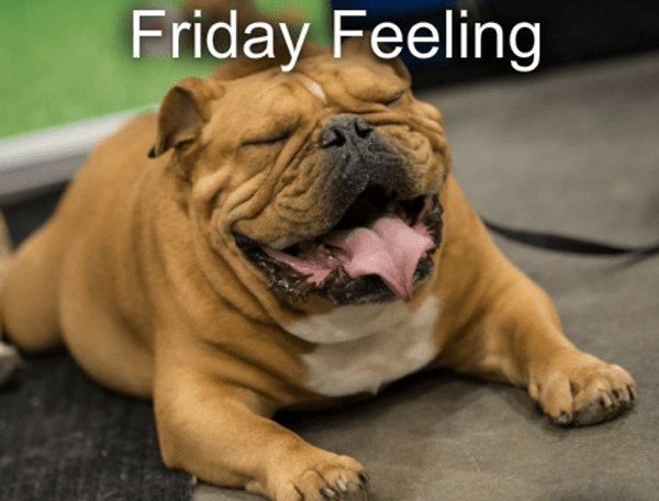 That-Friday-Feeling-021.png