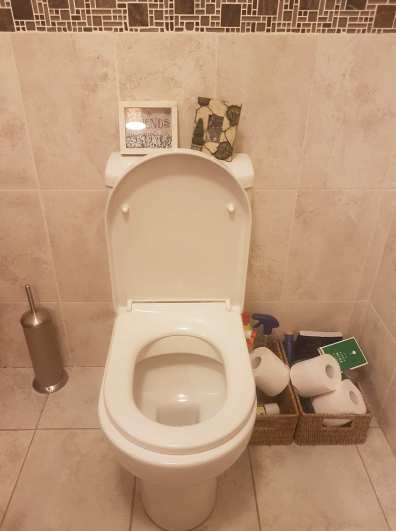 26937599_10159710107990167_578088088_o