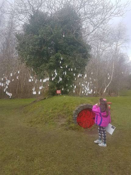 31947290_10160186549010167_1640744603051098112_n