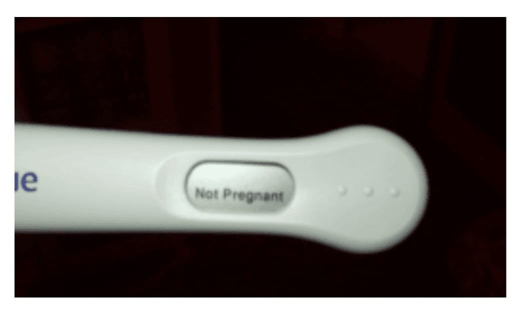 72682367_2566468913420976_6995931413656633344_o