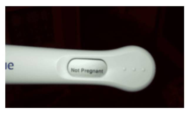 72682367_2566468913420976_6995931413656633344_o