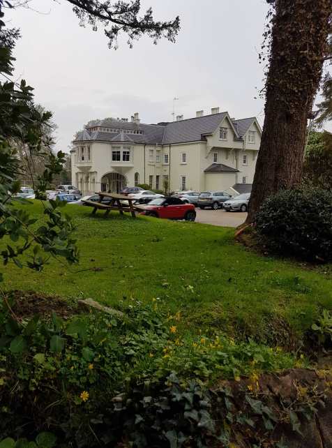 58382126_330281170963028_2649199213300154368_n