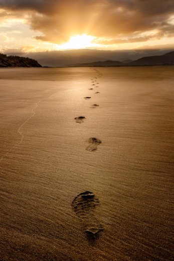 Footprints+in+the+sand-squarespace.jpg